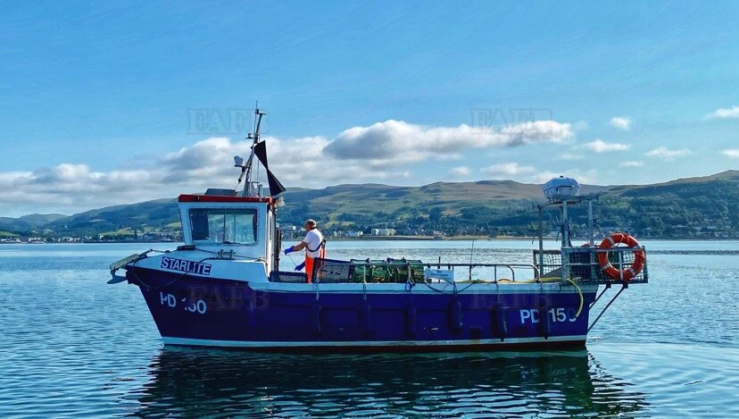 Large picture for advert 118644