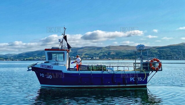 Large picture for advert 118644