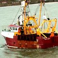 Extra picture for advert 99294
