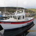 Extra picture for advert 102694