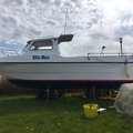 Extra picture for advert 104844