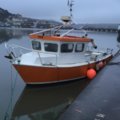 Extra picture for advert 106894